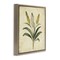 Stupell Industries Vintage Yellow Wheat Illustration Floating Frame, design by Petal Prints Design